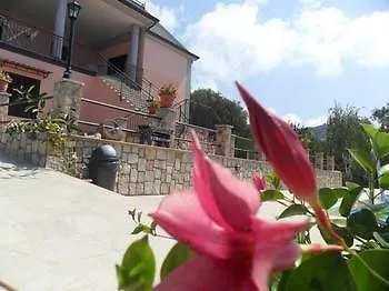 Aurella