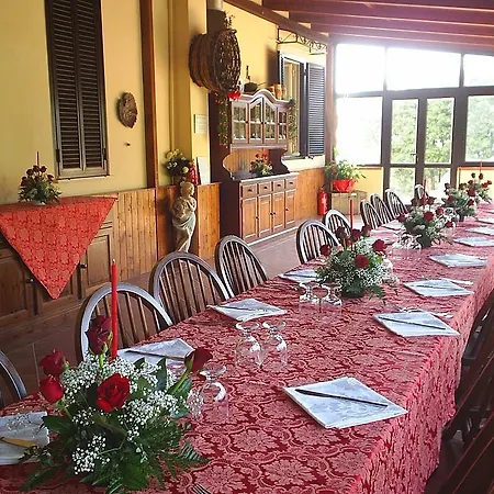 Aurella Farm stay *